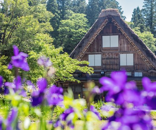 白川郷おススメの映え写真スポット7選