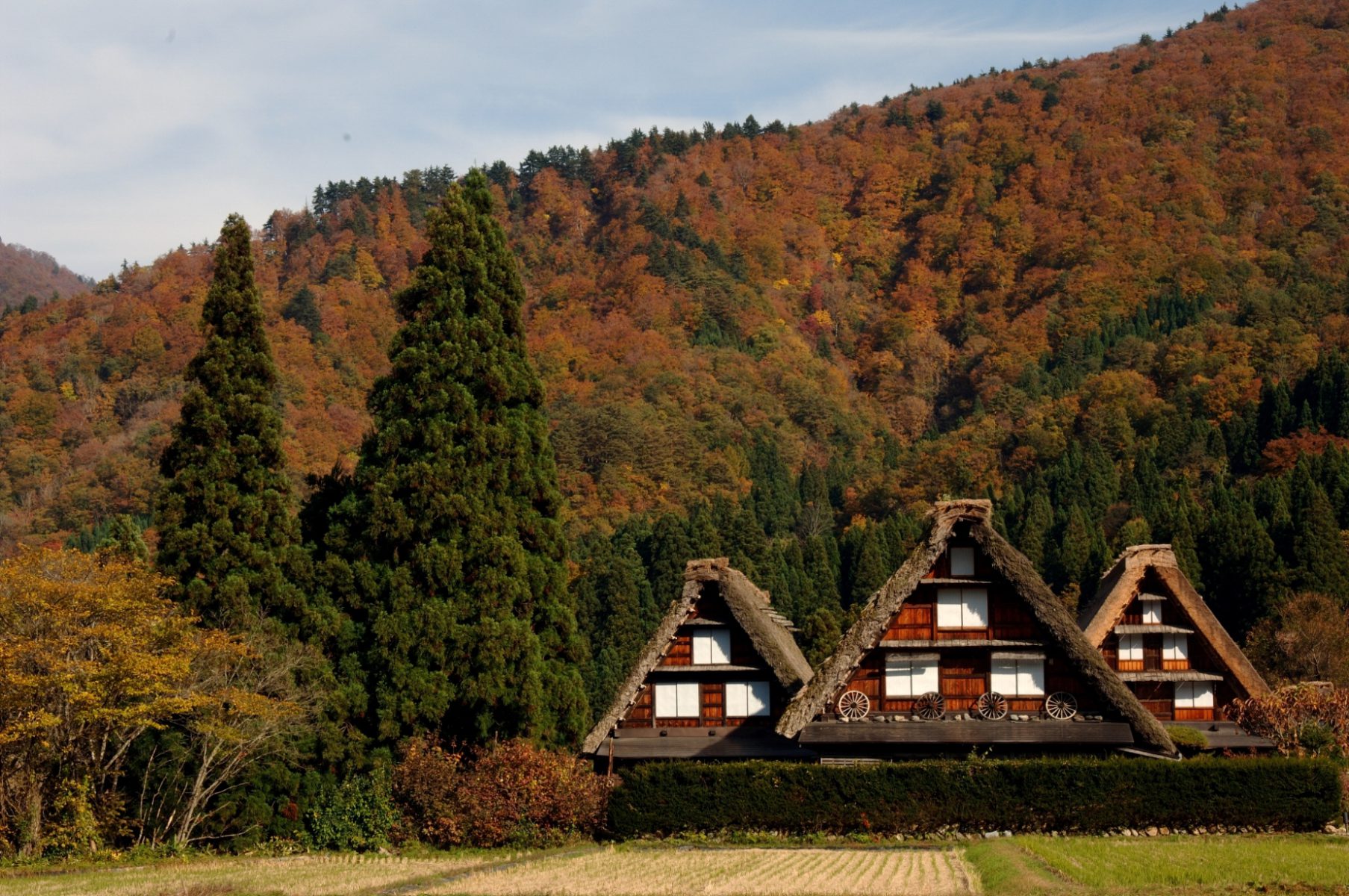 22年 白川郷周辺の紅葉スポット5選 見ごろの時期はいつ 深山豆富店公式サイト