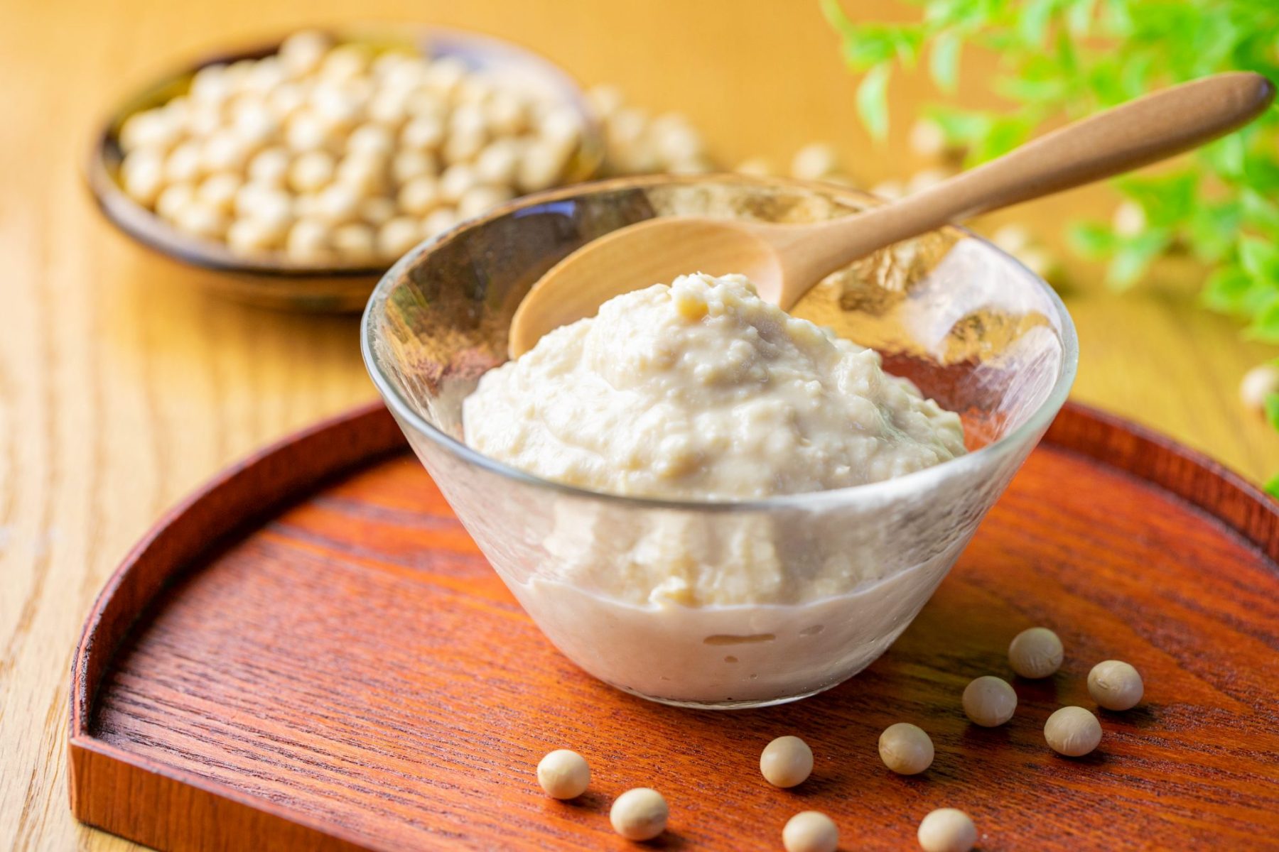 すったて～大豆をすりつぶした白川郷の郷土食～ | 深山豆富店公式サイト